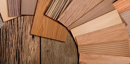 چوب چیست؟ آشنایی با مهم‌ترین ماده اولیه صنایع چوب